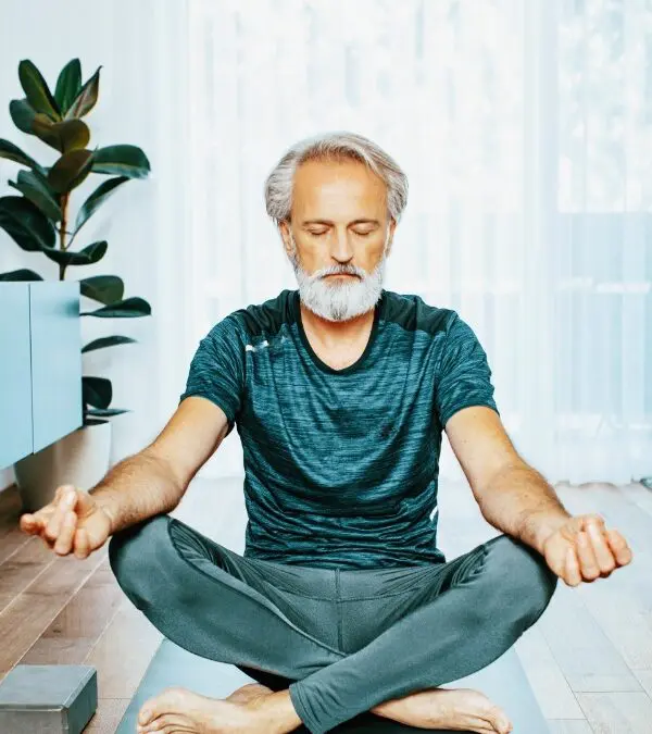 Yangsheng – Die Kunst, das Leben zu nähren und die Gesundheit zu fördern