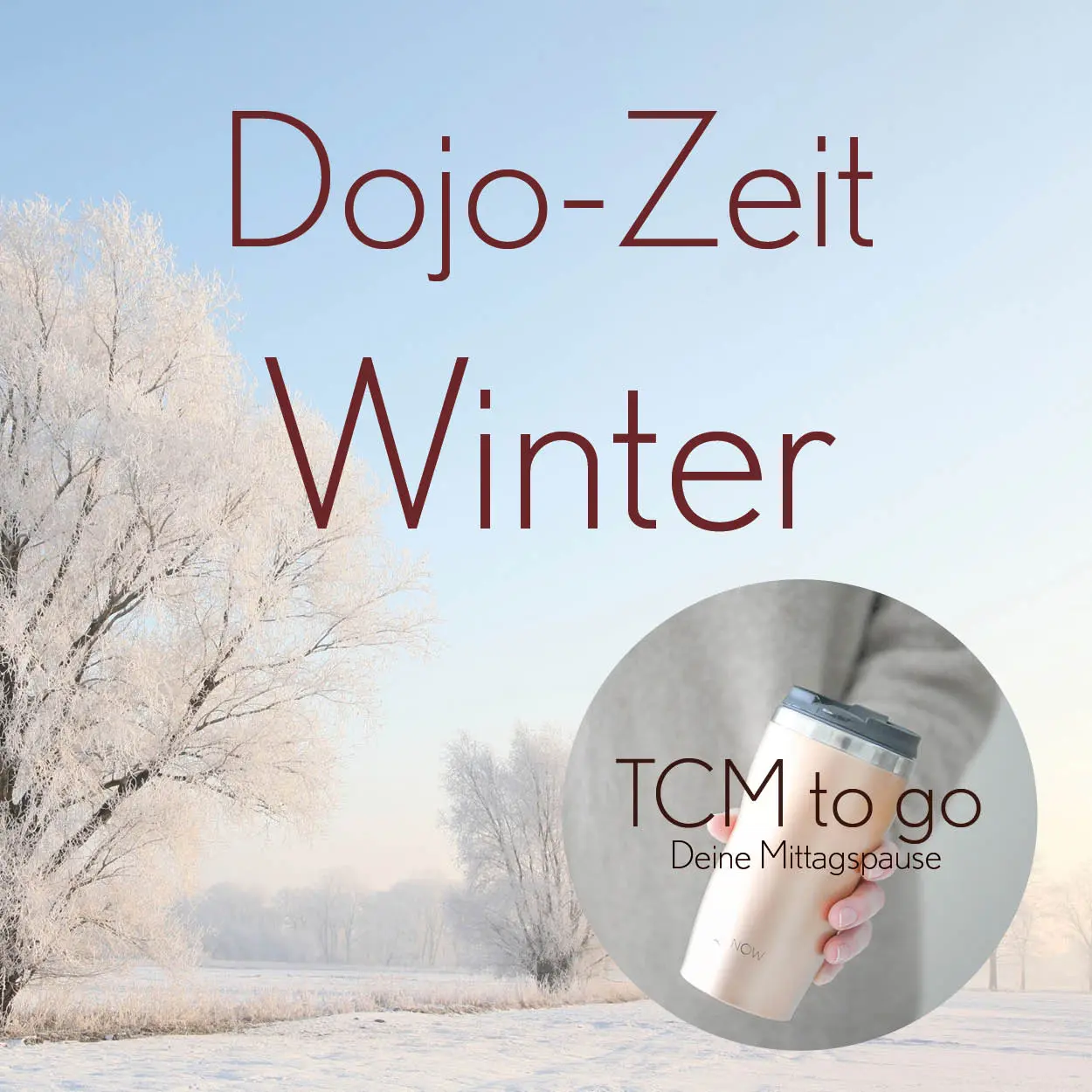 TCM to go Dojo Zeit Winter 600x600px 119