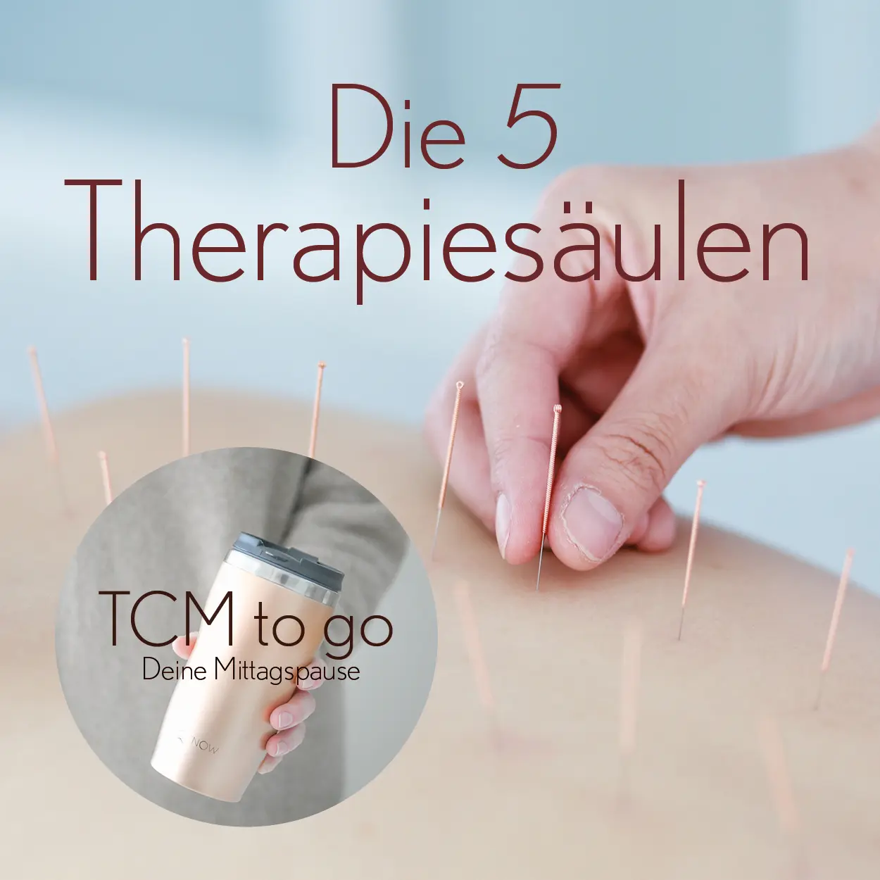 TCM to go-Die 5 Therapiesäulen