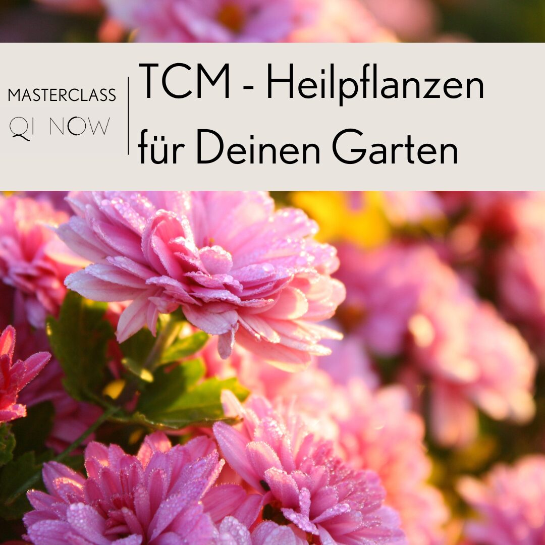 Masterclass-TCM-Heilpflanzen