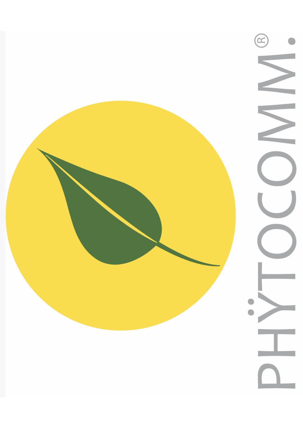 Sponsor - Voss Logo