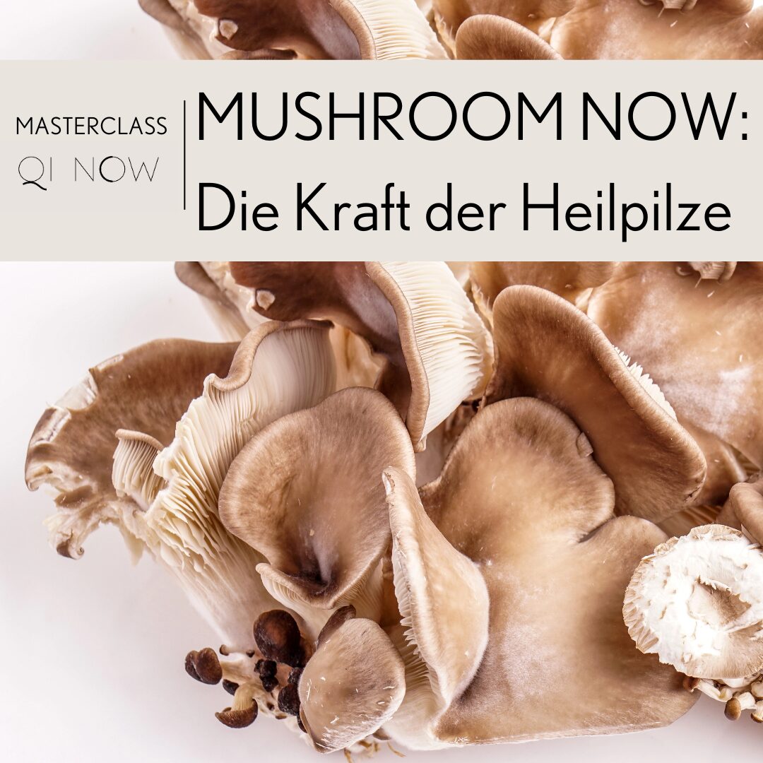 Masterclass-MUSHROOM NOW-Die Kraft der Heilpilze